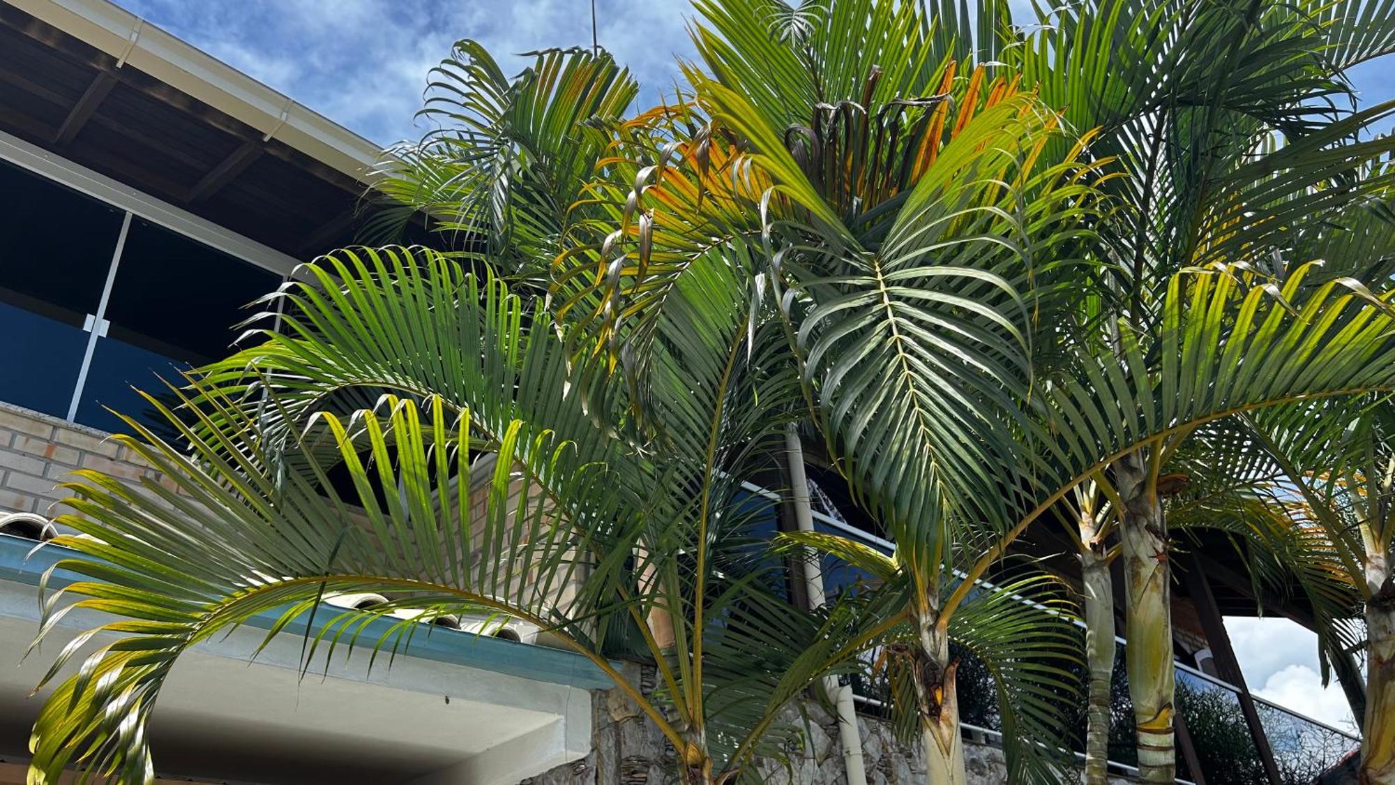 Casa Espacosa Com Sala De Jogos Interna E Externa Сasa de vacaciones Florianópolis